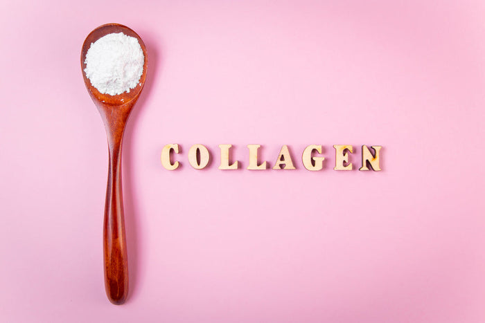Collagen supplement