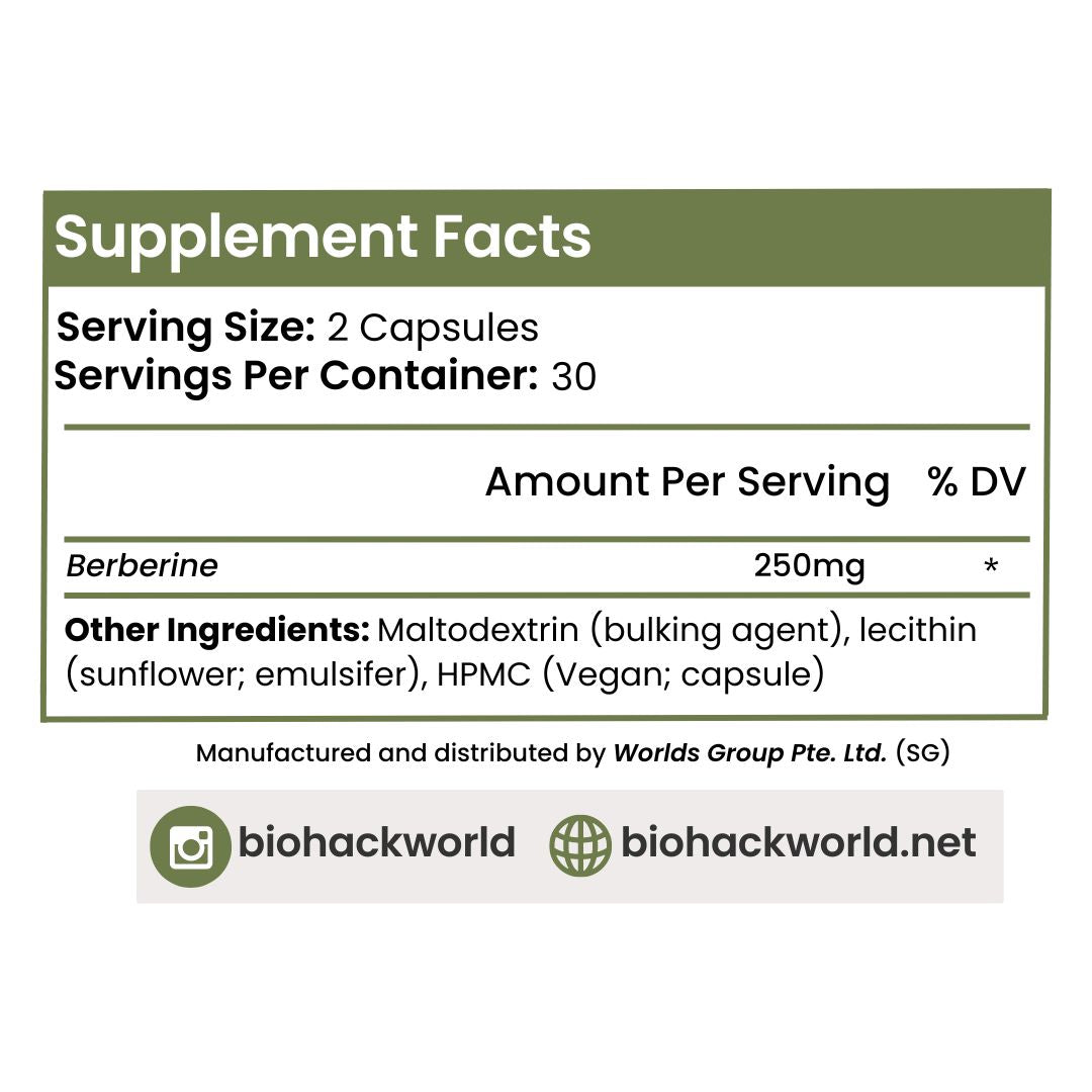 Biohack World Berberine Ingredients