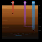 Capillus TriSpectrum